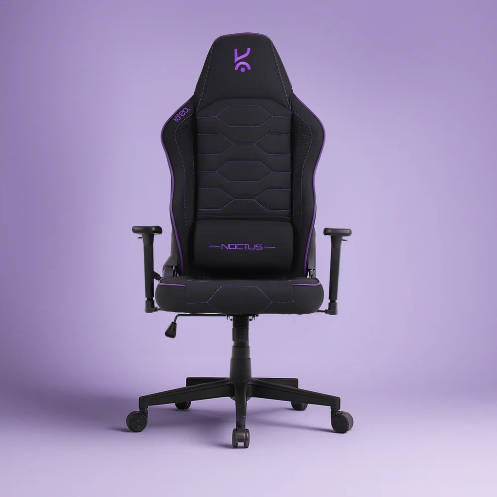 Altus Ergonomic Chair