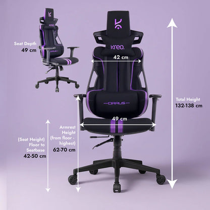 Cirrus Ergonomic Chair
