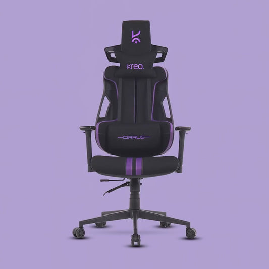 Cirrus Ergonomic Chair